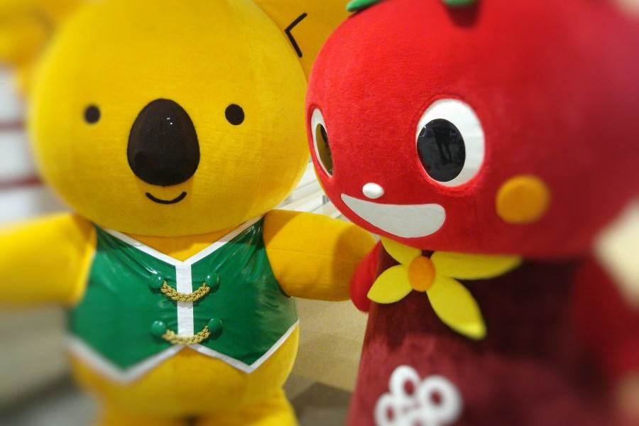 https://www.izumi.coop/activity/safety/smile-story/201701.html