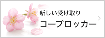 新しい受け取りコープロッカー