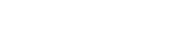 過去の活動