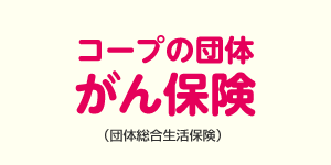 保障 大阪いずみ市民生活協同組合
