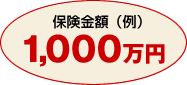 保険金額　1000万円