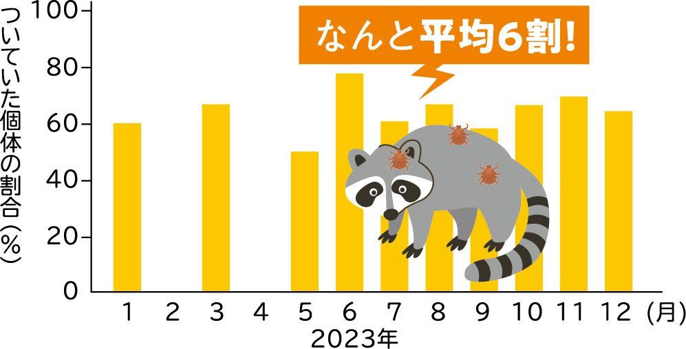 マダニがついているアライグマの割合（％）