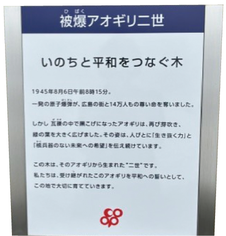コープ大野芝店で植樹式を行いました