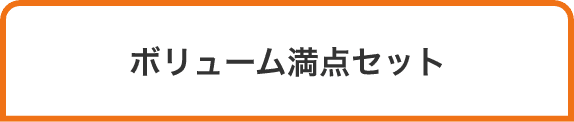 ボリューム満点セット