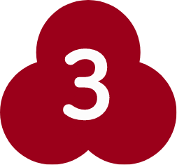 3