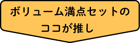 ボリューム満点セットのココが推し