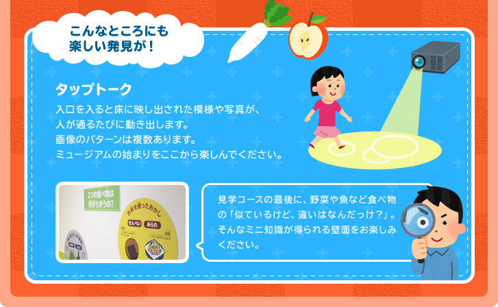こんなところにも楽しい発見が！　タップトーク　入口を入ると床に映し出された模様や写真が、人が通るたびに動き出します。画像のパターンは複数あります。ミュージアムの始まりをここから楽しんでください。　見学コースの最後に、野菜や魚など食べ物の「似ているけど、違いはなんだっけ？」。そんなミニ知識が得られる壁面をお楽しみください。
