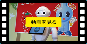 動画をみる