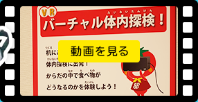 動画をみる