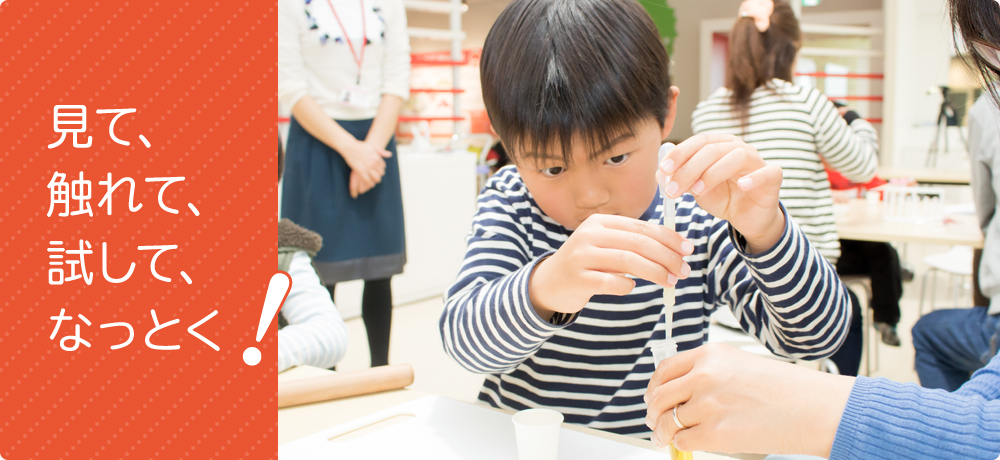 見て、触れて、試して、なっとく！