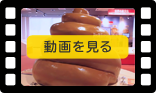 動画をみる