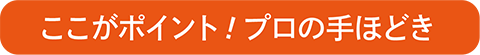 ここがポイント！プロのてほどき