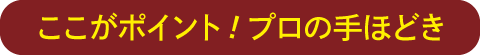 ここがポイント！プロのてほどき