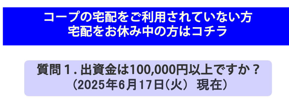 25joyo13.jpg