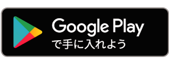 Google Store