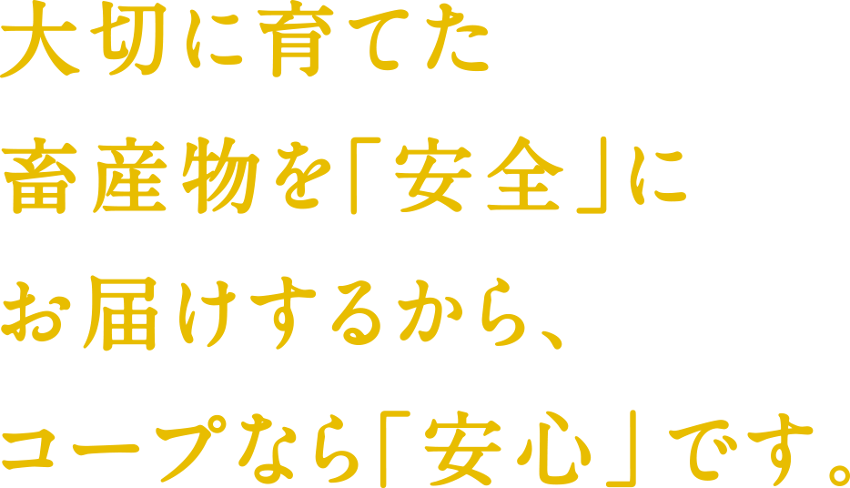 大切に育てた畜産物を「安全」にお届けするから、コープなら「安心」です。