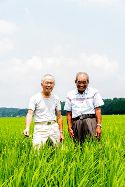 特別栽培米 森のくまさん | 商品・サービス | 大阪いずみ市民生活協同組合