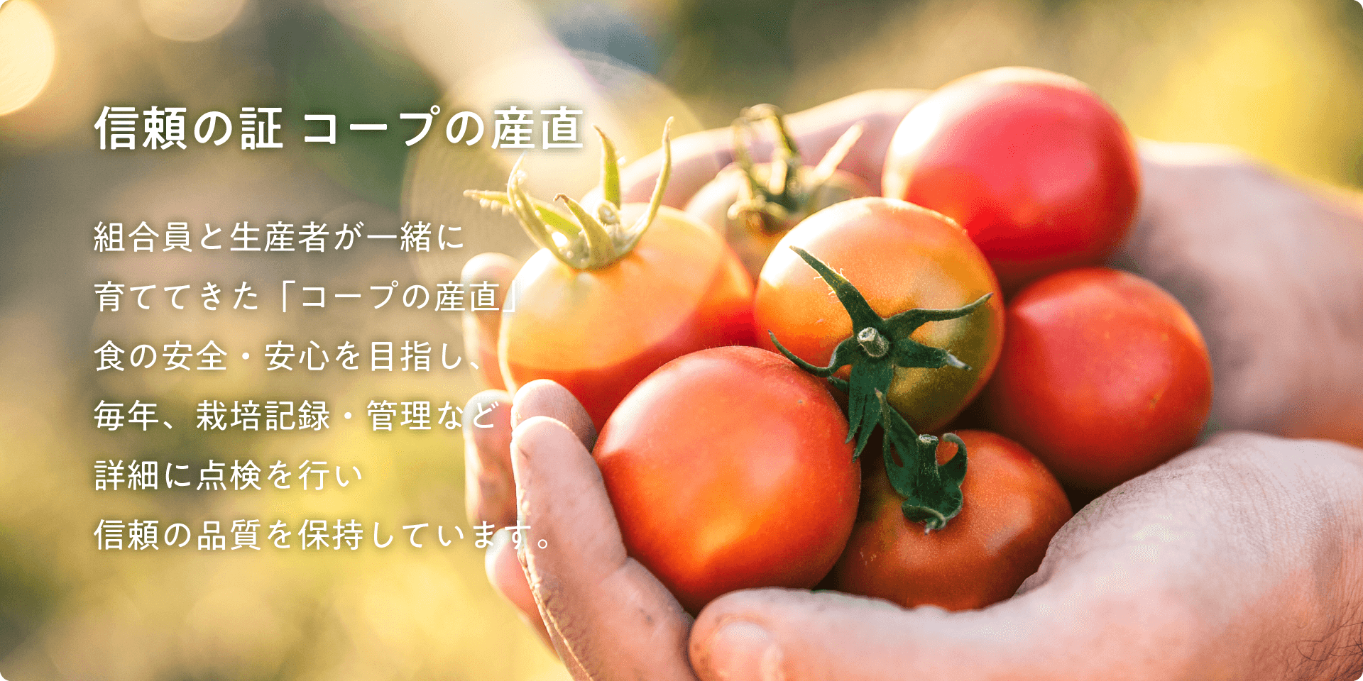 信頼の証 コープの産直。組合員と生産者が一緒に育ててきた「コープの産直」食の安全・安心を目指し、毎年、栽培記録・管理など詳細に点検を行い信頼の品質を保持しています。