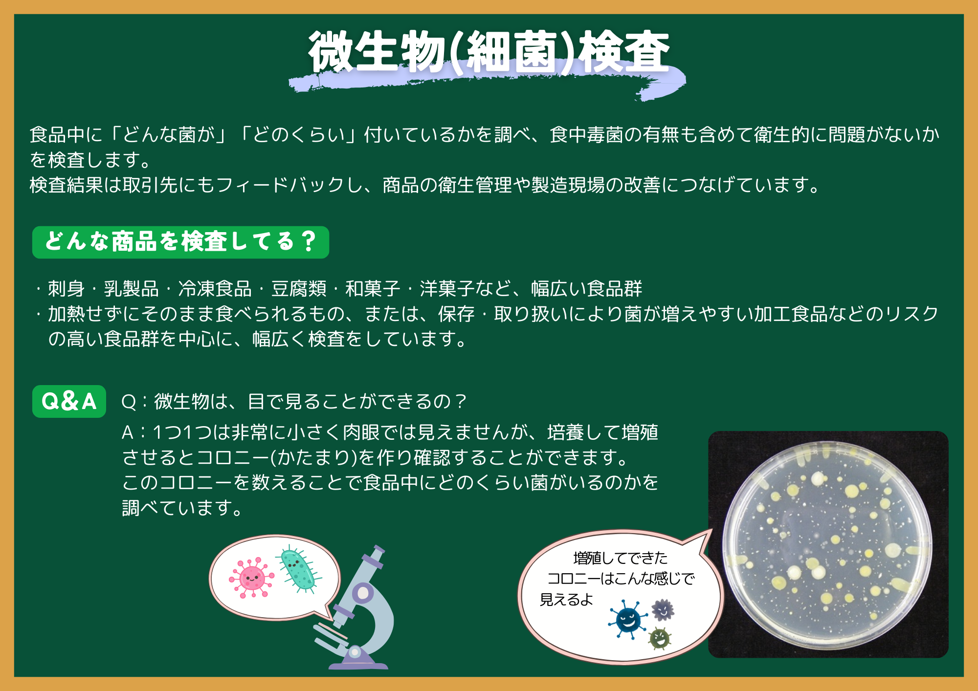 微生物検査