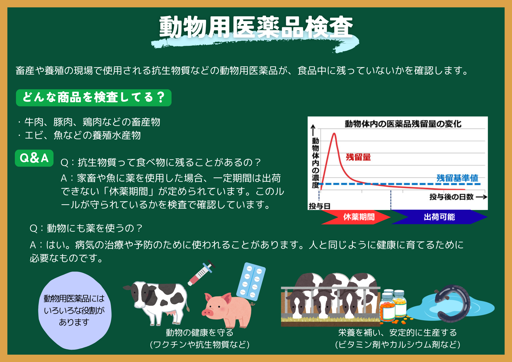 動物用医薬品検査