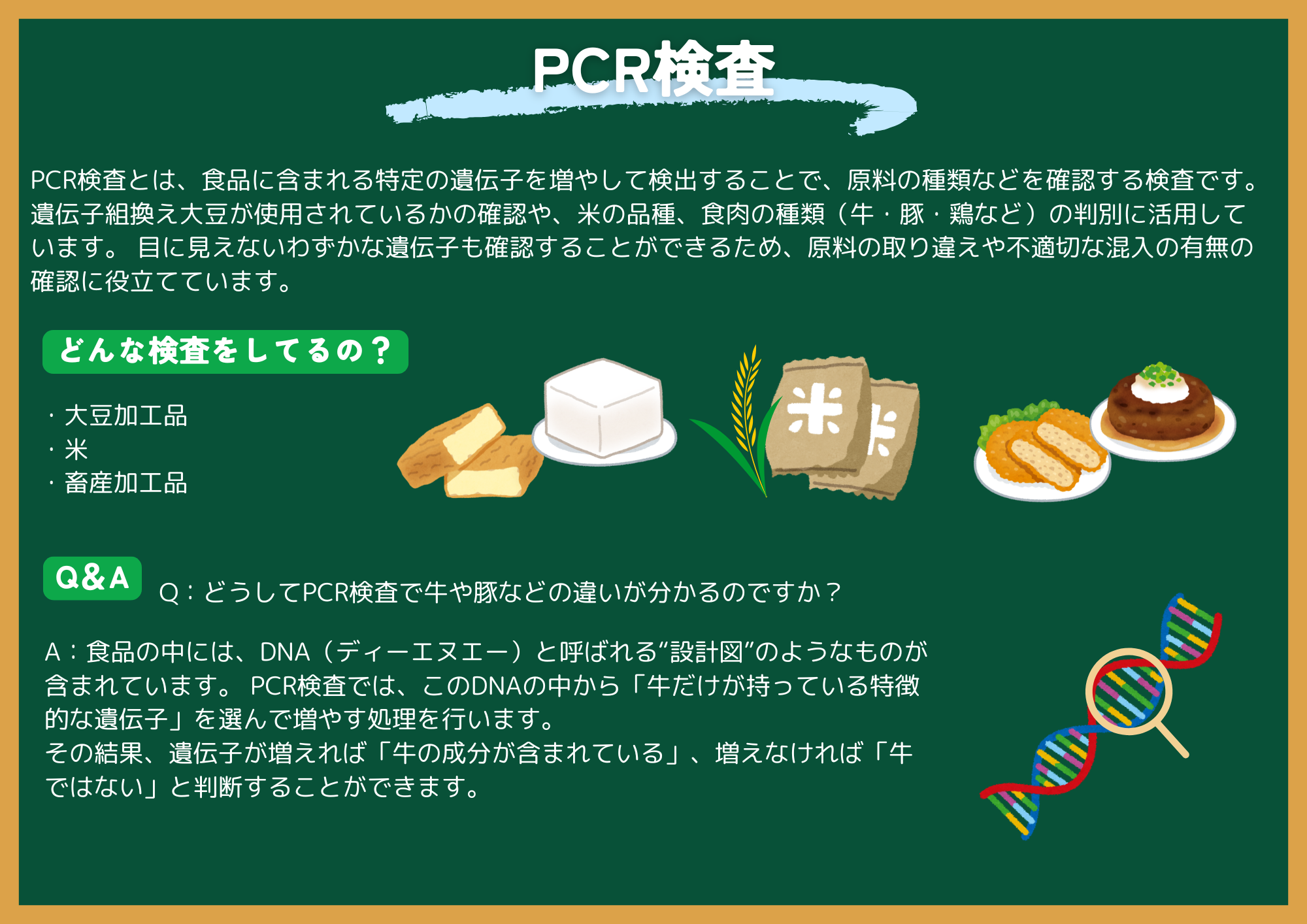 PCR検査