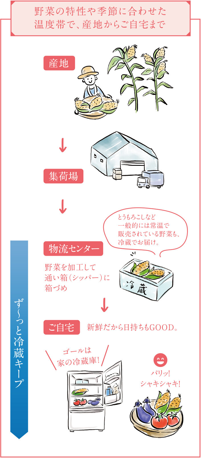 野菜の特性や季節に合わせた温度帯で、産地からご自宅まで