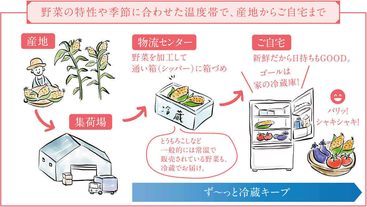 野菜の特性や季節に合わせた温度帯で、産地からご自宅まで