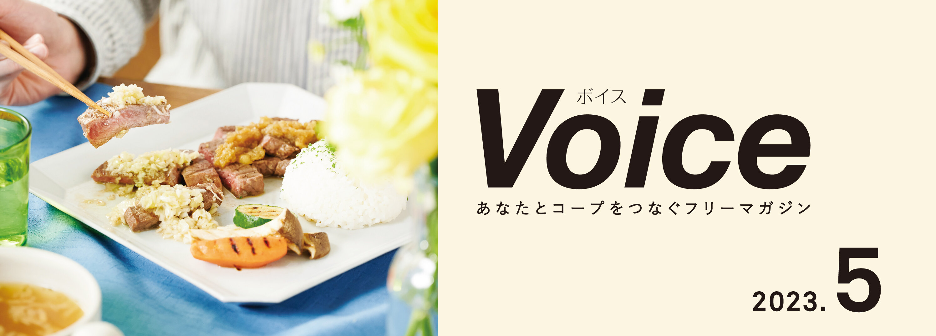 Voice 2023.05