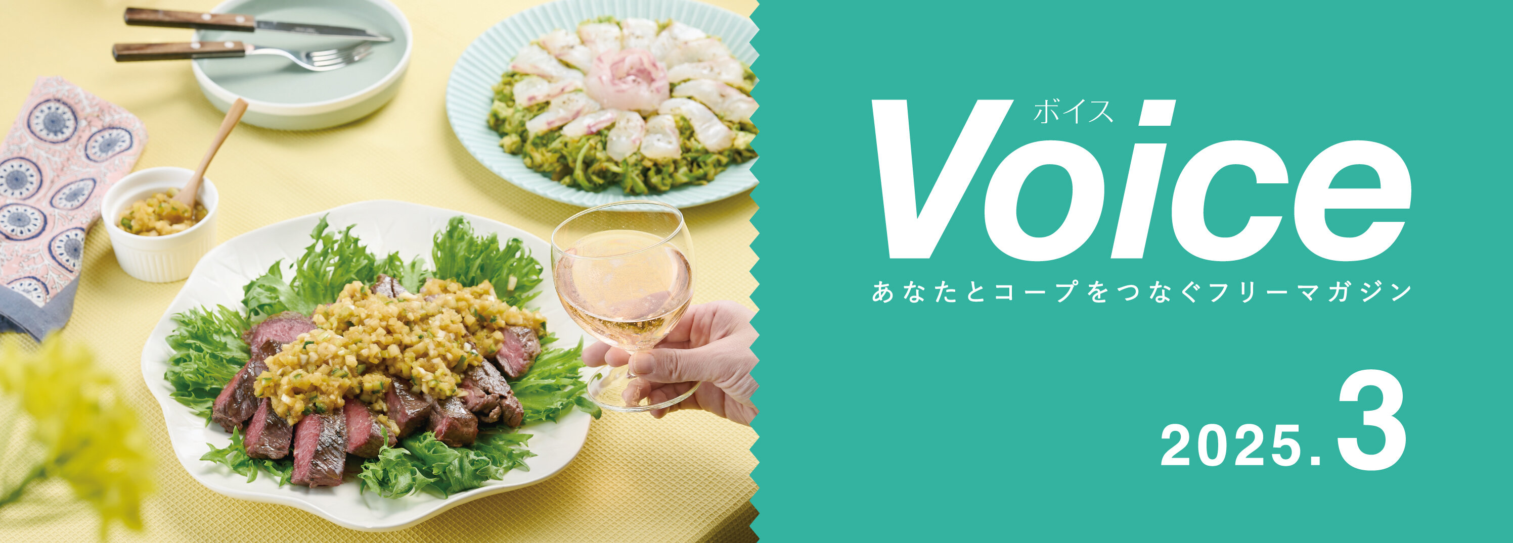 Voice 2025.03