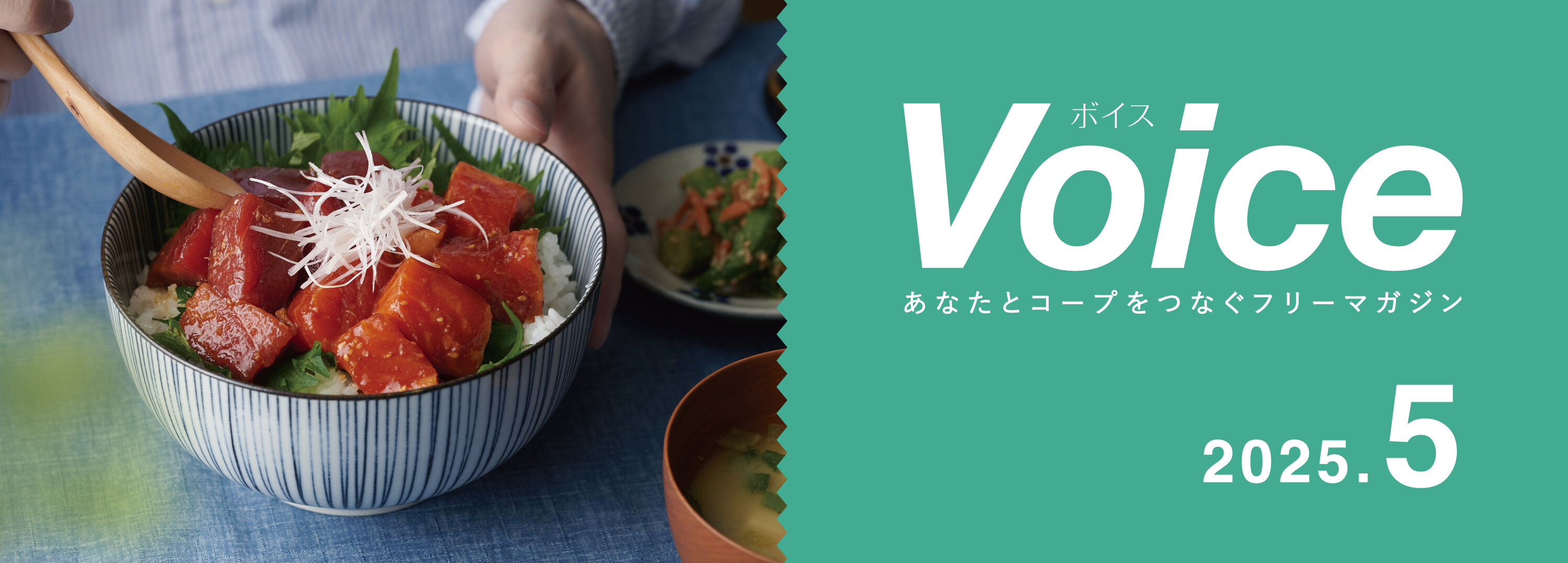 Voice 2025.05