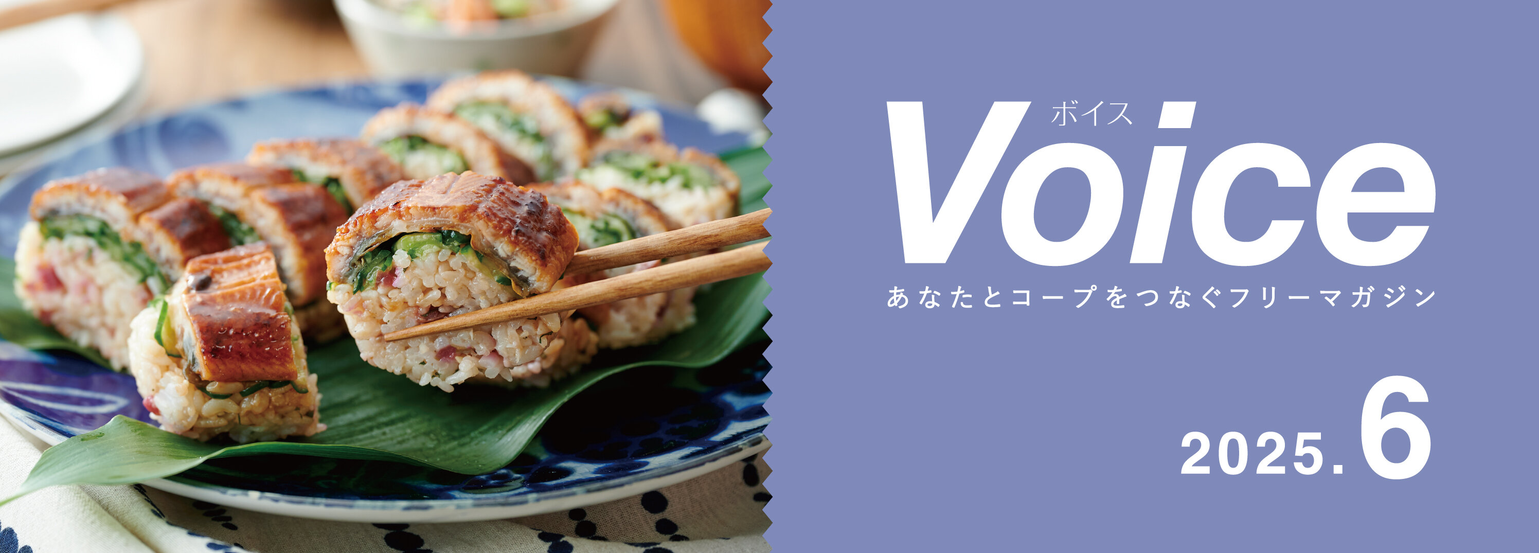 Voice 2025.06