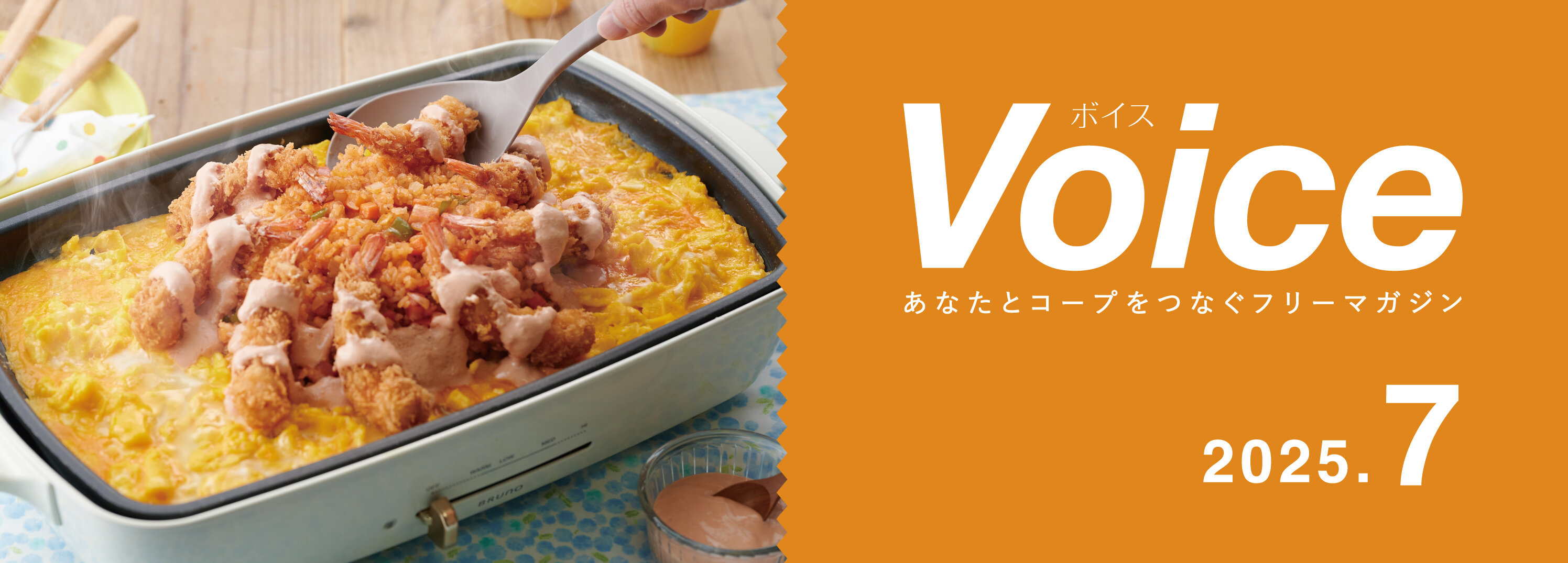 Voice 2025.07