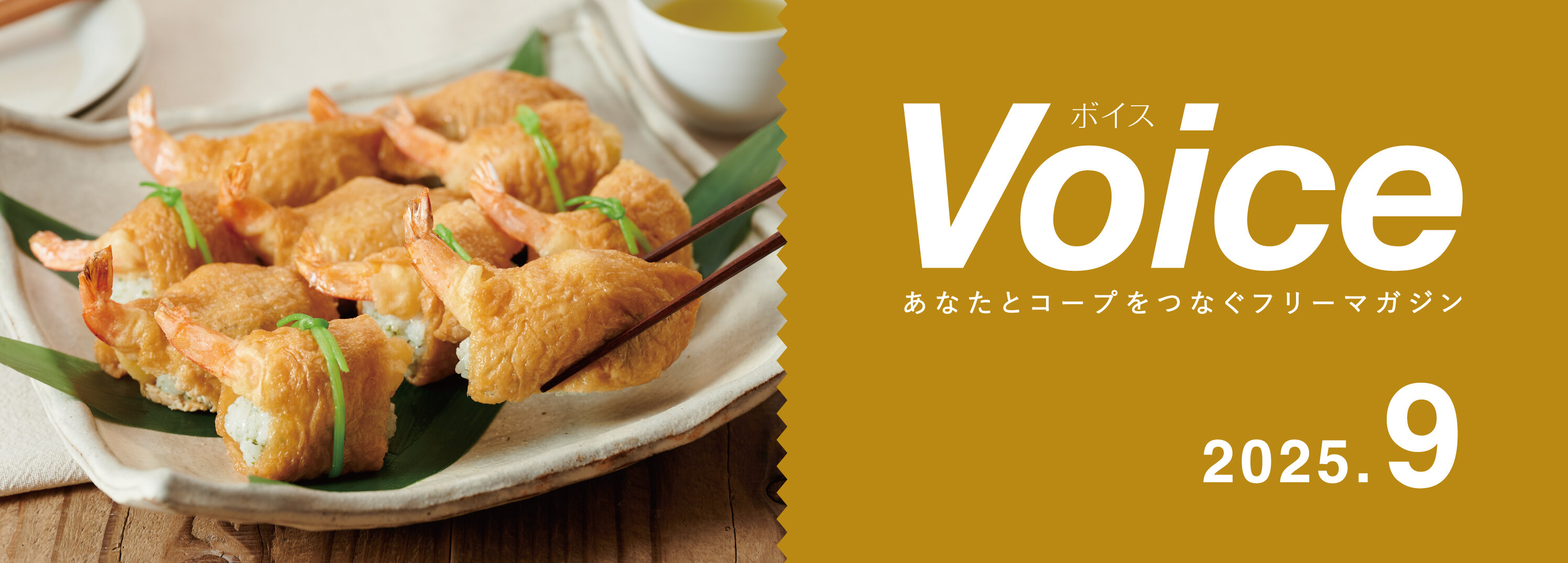Voice 2025.09