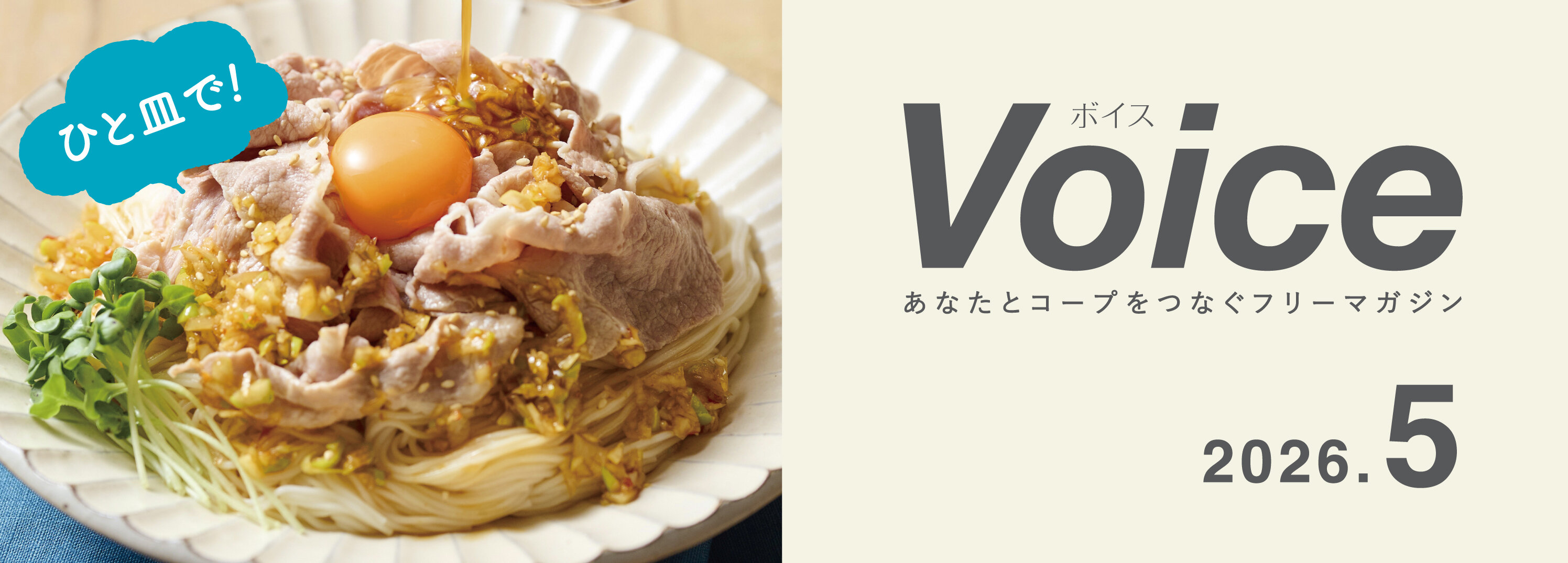 Voice 2026.05