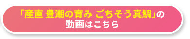 「産直 豊潮の育み ごちそう真鯛」の動画はこちら