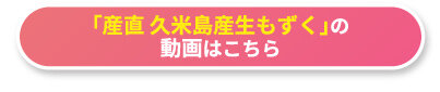 「産直 久米島産生もずく」の動画はこちら