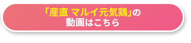 「産直 マルイ元気鶏」の動画はこちら